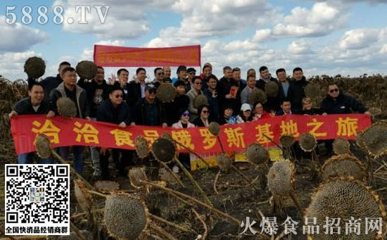 全產業(yè)鏈布局國際化 全產業(yè)鏈布局國際化