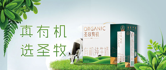 圣牧有機純牛奶禮盒 圣牧有機純牛奶禮盒